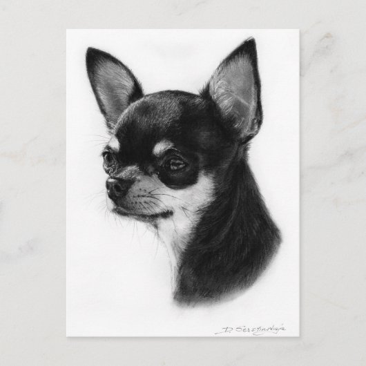Chihuahua handgeschilderd kunstwerk briefkaart (Voorkant)