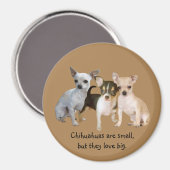 Chihuahua Happy Trio Magnet (Voorkant / Achterkant)