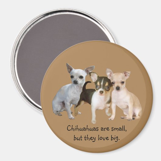 Chihuahua Happy Trio Magnet (Voorkant / Achterkant)