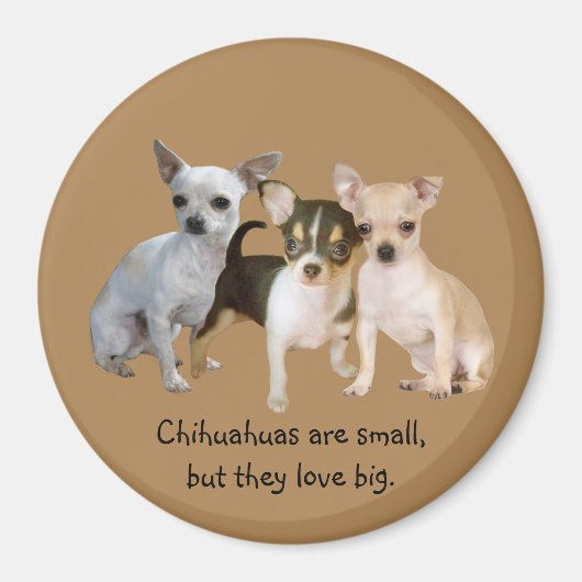 Chihuahua Happy Trio Magnet (Voorkant)