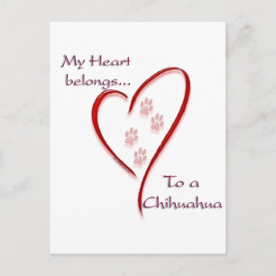 Chihuahua hart behoort briefkaart