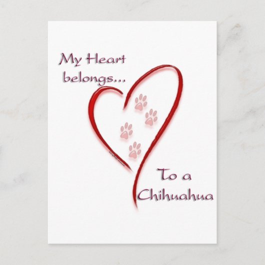 Chihuahua hart behoort briefkaart (Voorkant)