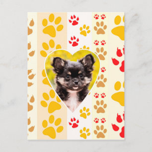 Chihuahua hart poot afdrukken briefkaart