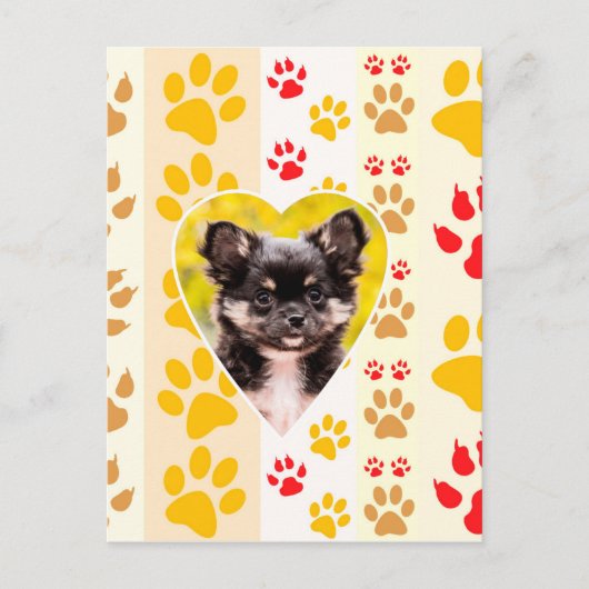 Chihuahua hart poot afdrukken briefkaart (Voorkant)