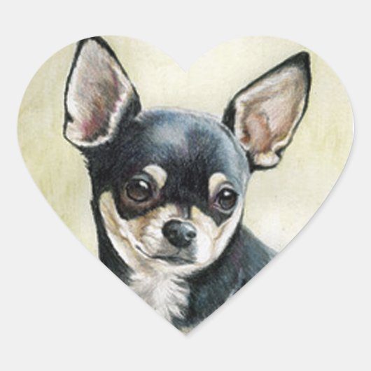 Chihuahua hart Sticker (Voorkant)