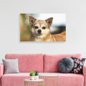 Chihuahua Headshot Canvas Afdruk (Insitu (Woonkamer))