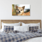 Chihuahua Headshot Canvas Afdruk (Insitu (Slaapkamer))
