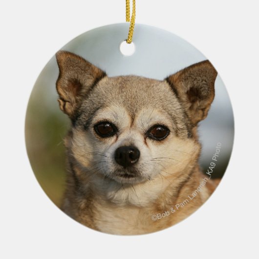 Chihuahua Headshot Keramisch Ornament (Voorkant)