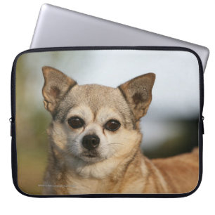 Chihuahua Headshot Laptop Sleeve