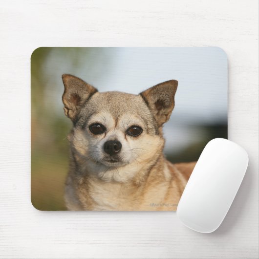 Chihuahua Headshot Muismat (Met muis)