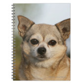 Chihuahua Headshot Notitieboek (Voorkant)