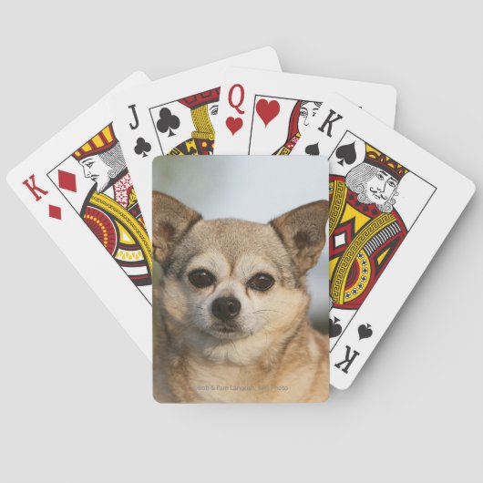 Chihuahua Headshot Pokerkaarten (Achterkant)