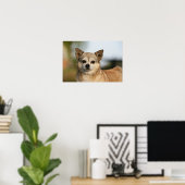 Chihuahua Headshot Poster (Thuiskantoor)