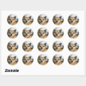 Chihuahua Headshot Ronde Sticker (Vel)