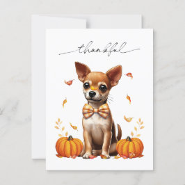 Chihuahua-herfst dankbaar Thanksgiving wenskaart Briefkaart