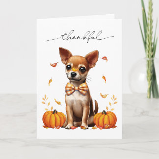 Chihuahua Herfst Dankbaar Thanksgiving Wenskaart Kaart