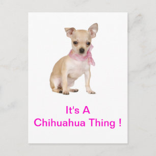 Chihuahua Het is een Chihuahua ding Briefkaart