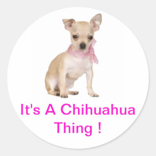 Chihuahua Het is een Chihuahua ding Ronde Sticker