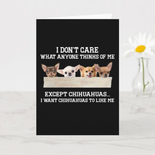 Chihuahua Het Kan Me Niet Schelen Wat Iedereen Van Kaart