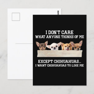 Chihuahua het kan me niet schelen wat iemand van m briefkaart