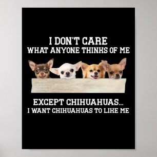 Chihuahua het kan me niet schelen wat iemand van m poster