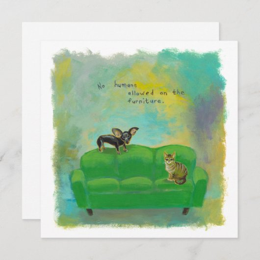 Chihuahua hond en kat op sofa's leuke originele ku kaart (Voorkant / Achterkant)