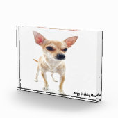 Chihuahua-hond. Fotoblokken (Rechts)