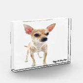Chihuahua-hond. Fotoblokken (Links)