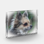 Chihuahua hond. fotoblokken (Links)