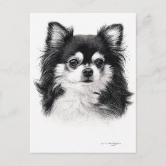 Chihuahua hond hand geschilderd kunstwerk briefkaart (Voorkant)