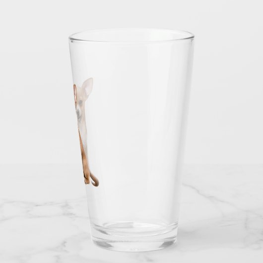 Chihuahua Hond Huisdier Dier Glas (Links)