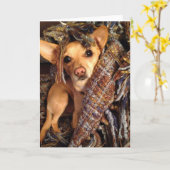 Chihuahua hond in het Wenskaart Kaart (Gele Bloem)