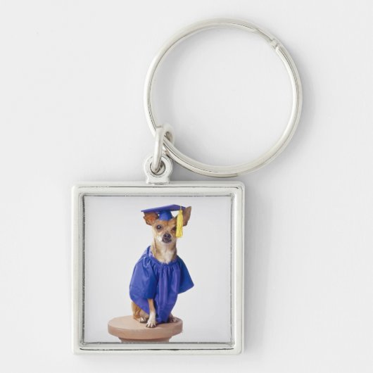 Chihuahua hond met afstuderen uniform, studio sleutelhanger (Voorkant)