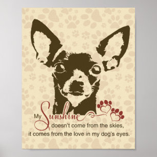 Chihuahua Hond Mijn Zonneschijn Poster