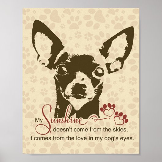Chihuahua Hond Mijn Zonneschijn Poster (Voorkant)