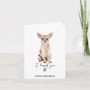 Chihuahua Hond Moeder Puppy Huisdieren Poot Verjaa Kaart