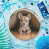 Chihuahua hond onder een tapijt papieren bordje (Feest)