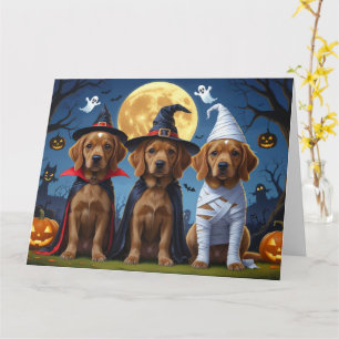 Chihuahua Hond Pompoen Halloween Grappig Kaart