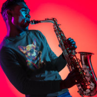 Chihuahua Hond spelen Saxofoon