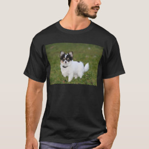 Chihuahua-hond staand op een groen gazon t-shirt