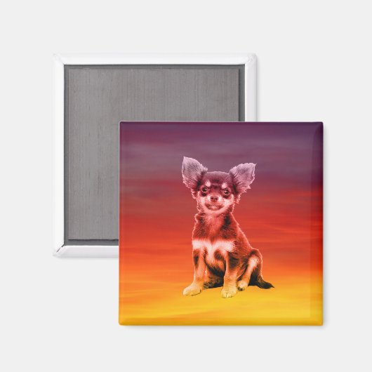 Chihuahua hond zittend op het strand magneet (Voorkant / Achterkant)