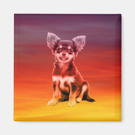 Chihuahua hond zittend op het strand magneet (Voorkant)