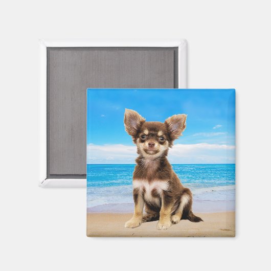 Chihuahua Hond Zittend op Tropisch Strand Magneet (Voorkant / Achterkant)