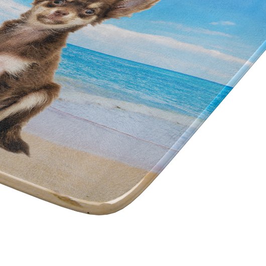 Chihuahua Hond Zittend op Tropisch Strand Snijplank (Hoek)