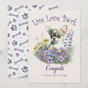 Chihuahua honden adoptie, Gotcha-dag Kaart