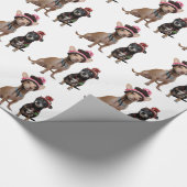 Chihuahua-honden in petten cadeaupapier (Hoek)