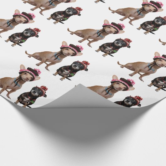 Chihuahua-honden in petten cadeaupapier (Hoek)