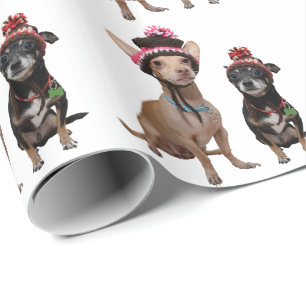 Chihuahua-honden in petten cadeaupapier