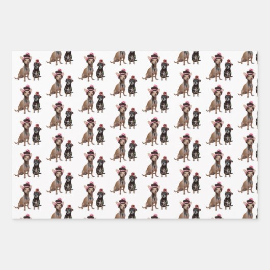 Chihuahua-honden in petten inpakpapier vel (Voorkant 2)