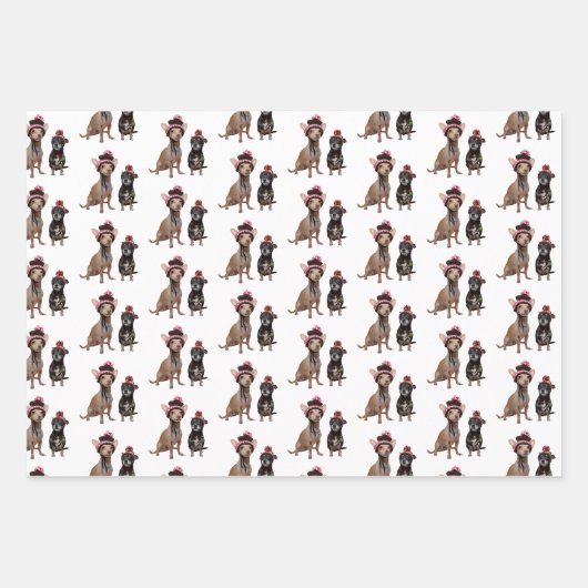 Chihuahua-honden in petten inpakpapier vel (Voorkant)